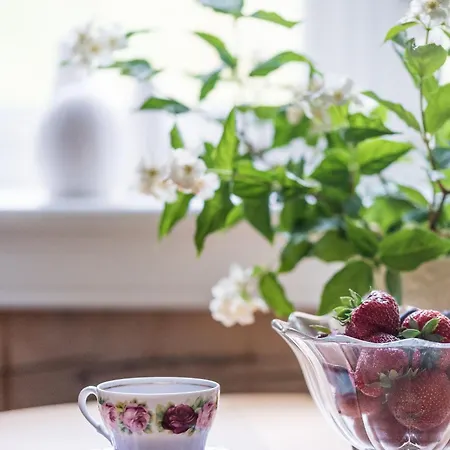 Store Ringheim Og Restaurant 보스